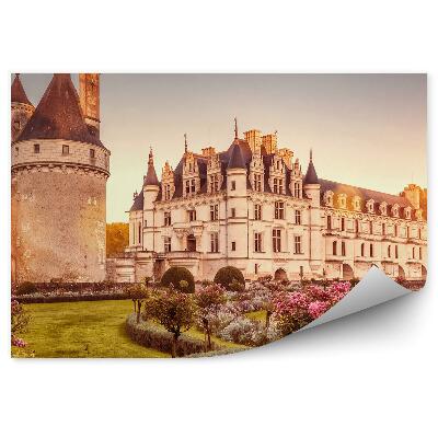 Fototapeta na zeď Zámecká zahrada keře květiny Francie západ slunce