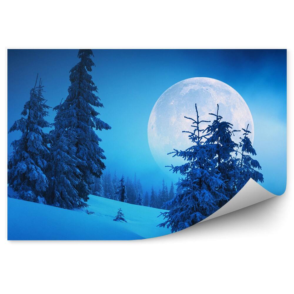 Samolepící fototapeta Zimní les hory měsíc noc
