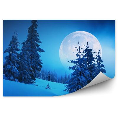 Samolepící fototapeta Zimní les hory měsíc noc