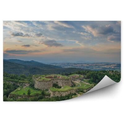 Fototapeta na zeď Zelená vegetace stromy lesy sudety