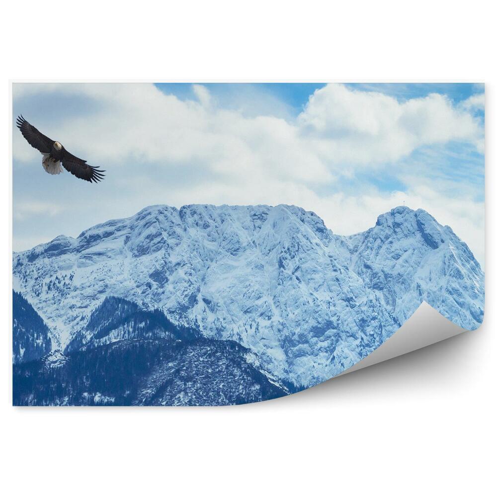 Fototapeta na zeď Zimní sníh Tatry Vysoké nebe mraky orli ptáci