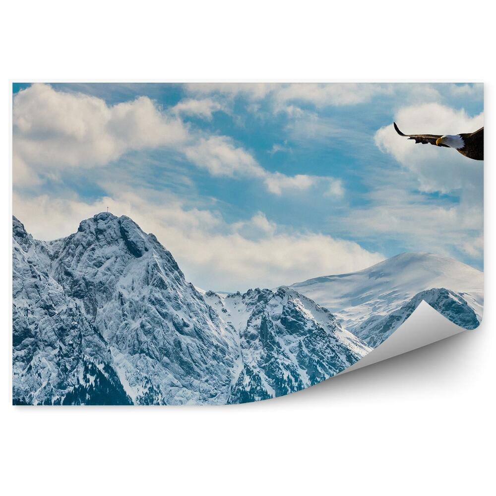 Samolepící fototapeta Zimní sníh Tatry Vysoká obloha mraky orli ptáci