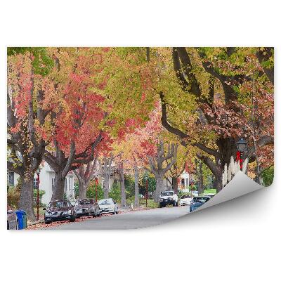 Fototapeta na zeď Vysoké barevné podzimní stromy pouliční auta město