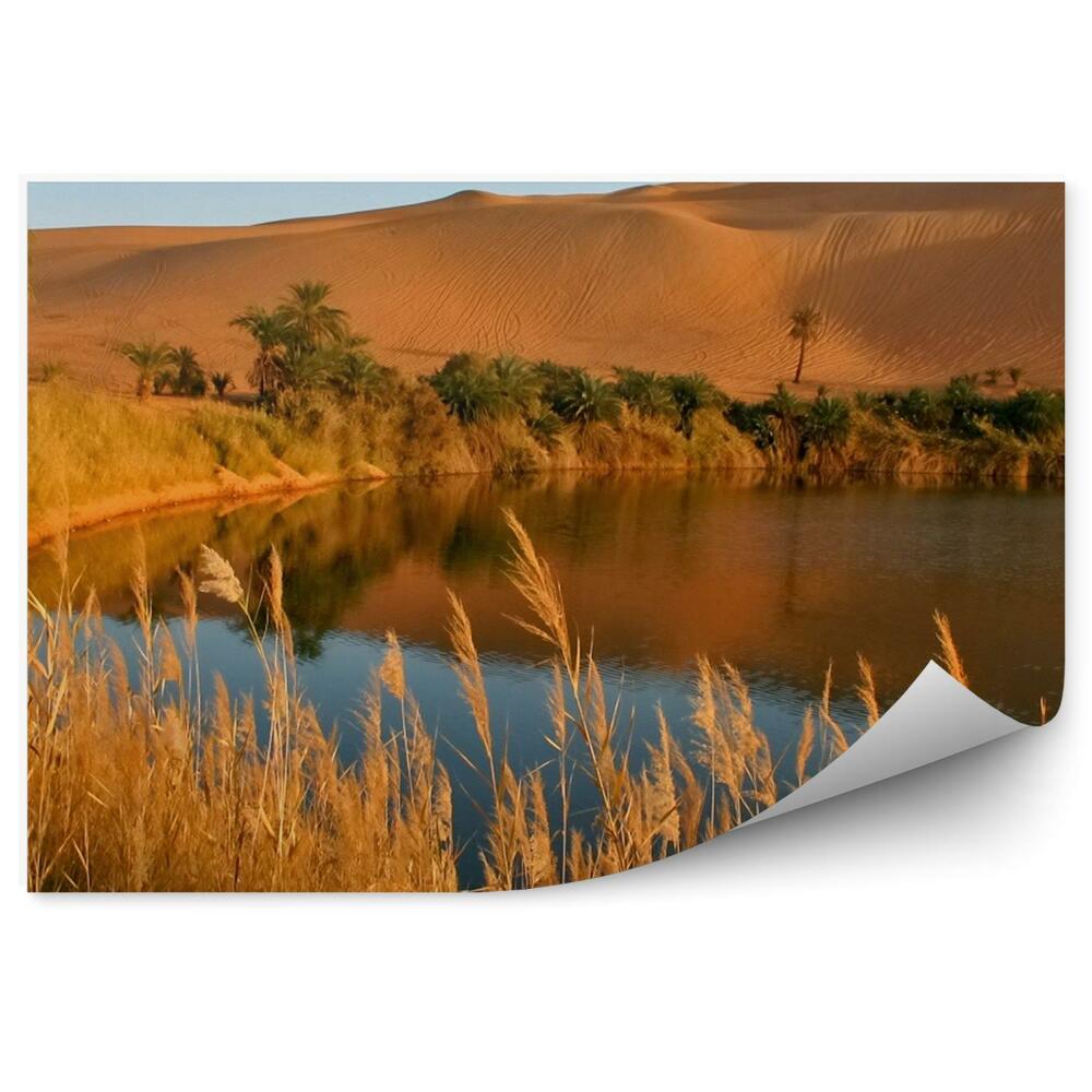 Fototapeta na zeď Jezero Afrika oáza tráva písek palmy