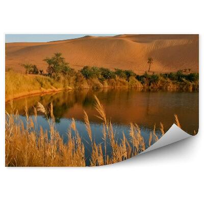Fototapeta na zeď Jezero Afrika oáza tráva písek palmy