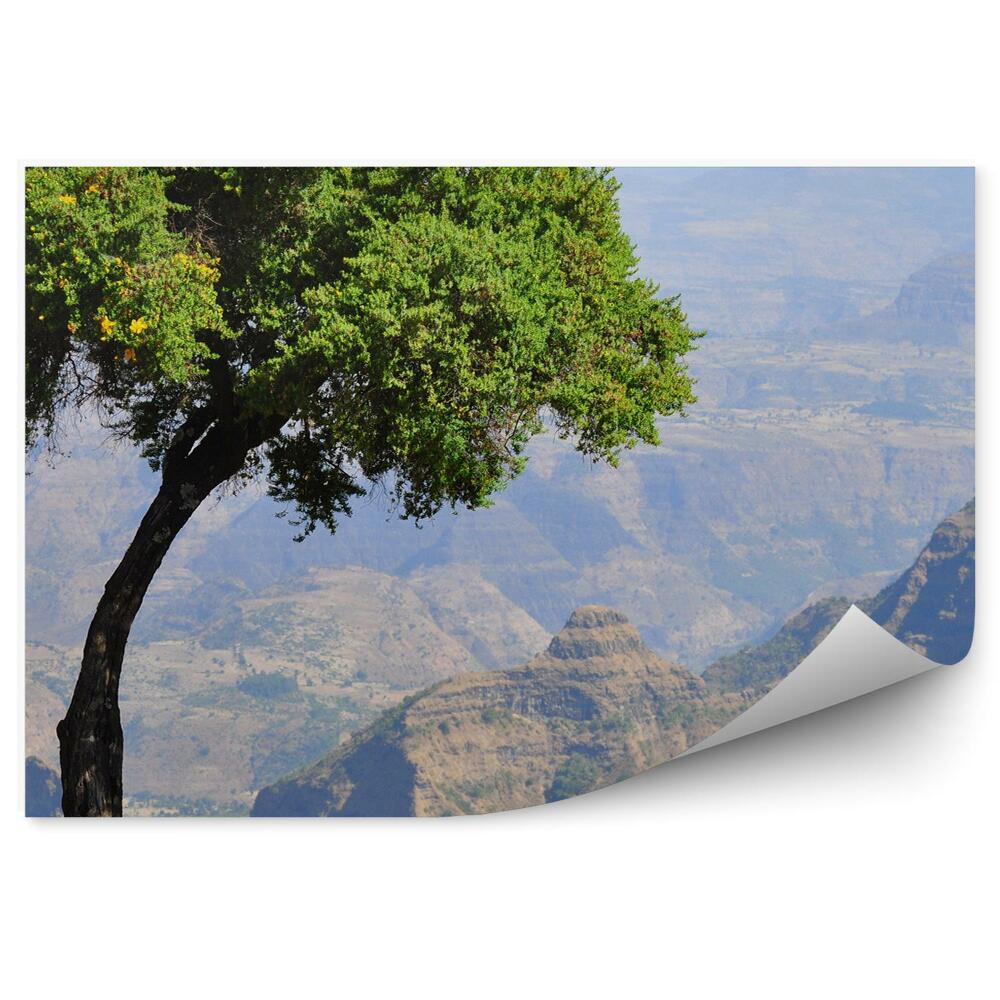 Samolepící fototapeta Etiopie hory skály příroda Afrika