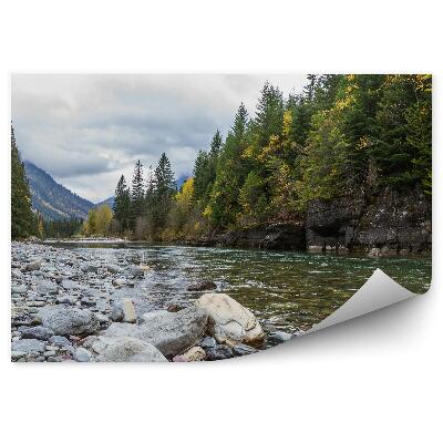 Fototapeta Zelené vánoční stromky les řeka kameny kopce