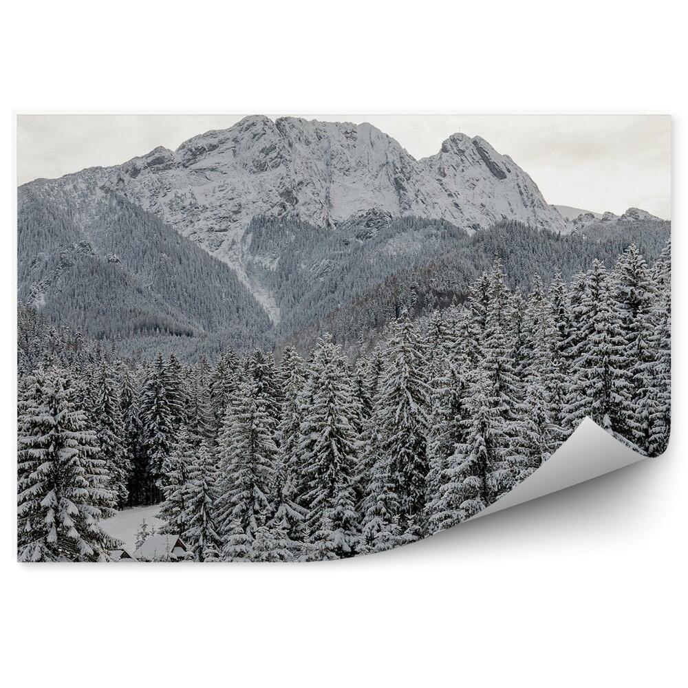 Samolepící fototapeta Giewont jehličnaté stromy zimní sníh nebe mraky Tatry