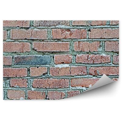 Samolepící fototapeta Zamrzlé cihlové zdivo