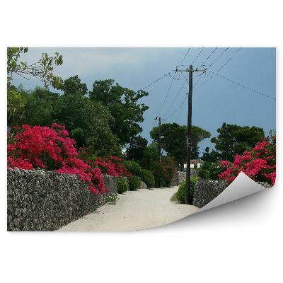 Fototapeta Okinawa Japonsko flóra květiny