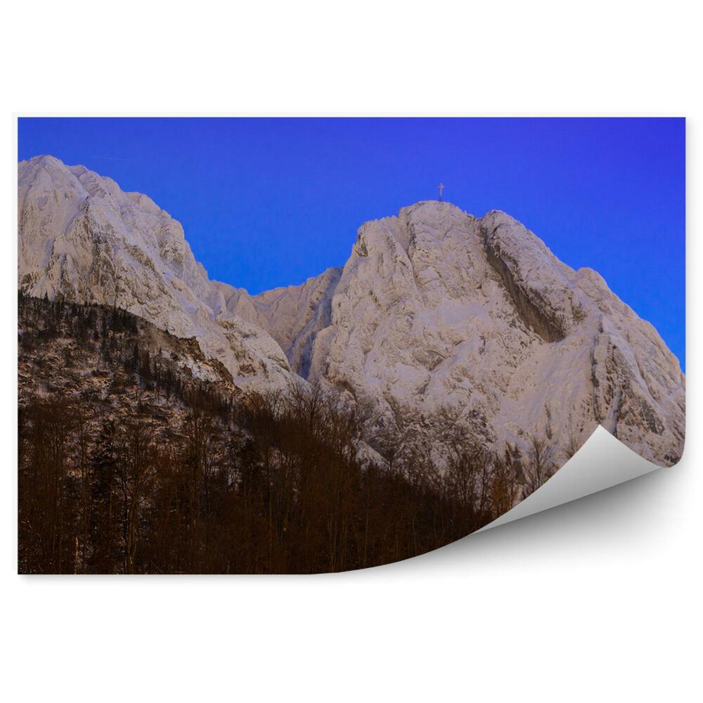 Fototapeta na zeď Giewont výhled jehličnaté stromy Tatry