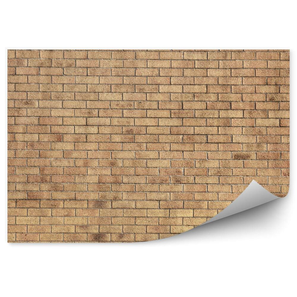 Fototapeta Žluté cihlové zdivo