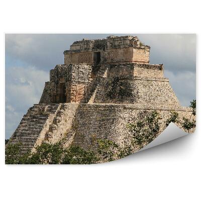 Fototapeta na zeď Přírodní stromy obklopující starověký chrám