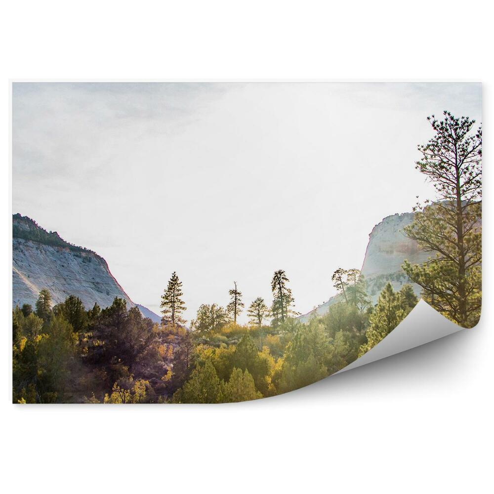 Fototapeta na zeď Národní park zelená vegetace stromy hory