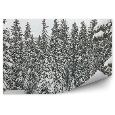 Fototapeta Sněhové Jehličí