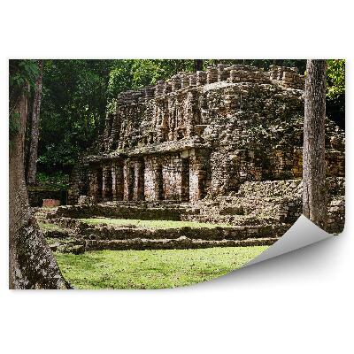 Fototapeta Zřícenina architektura maya Mexiko