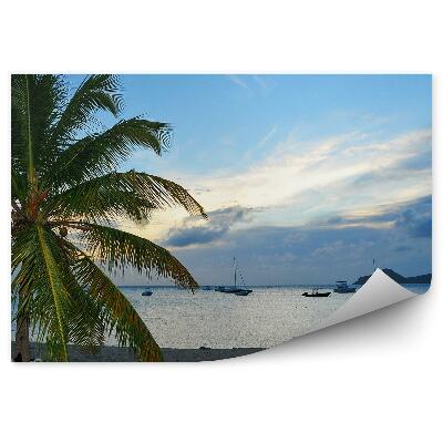 Tapeta Karibské moře palmy pláž mraky Kuba