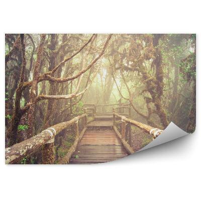 Fototapeta na zeď Lesní stromy dřevěný most