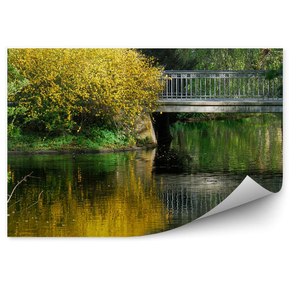 Samolepící fototapeta Vodní most keře zelené rostliny