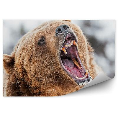 Samolepící fototapeta Řvoucí grizzly