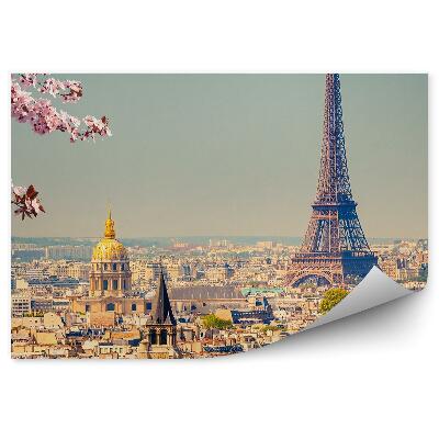 Fototapeta Květiny kvetoucí na stromě Panorama Paříže