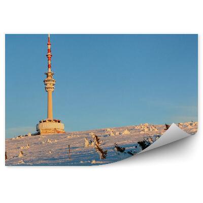 Fototapeta na zeď Sníh zimní sudet modrá obloha