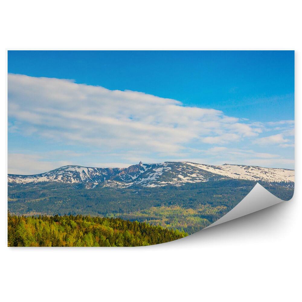 Samolepící fototapeta Zelené lesy hory krajina karkonosze