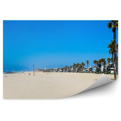 Fototapeta na zeď Pláž písek voda léto palmy