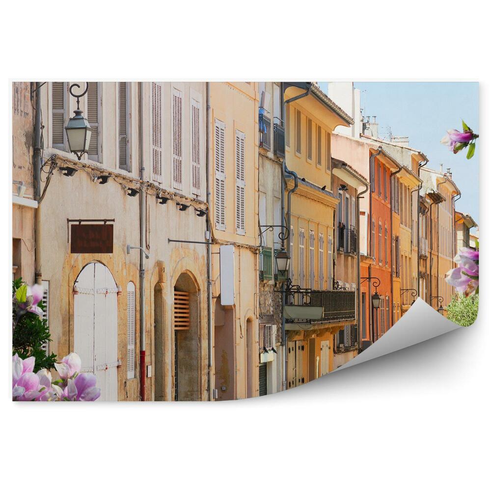 Fototapeta Alpy hory domy rostliny Provence Francie nebe