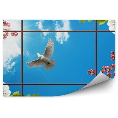 Fototapeta Okno s výhledem na nebe koruny stromů bílá holubice