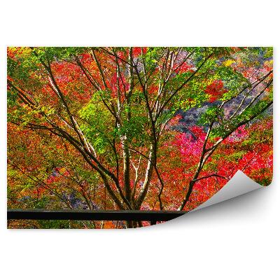 Samolepící fototapeta Podzimně zbarvené stromy za oknem