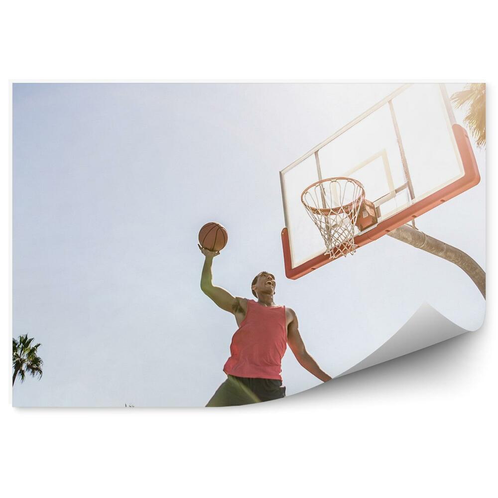 Samolepící fototapeta Basketbalisté míč míč palmy nebe budova Los Angeles