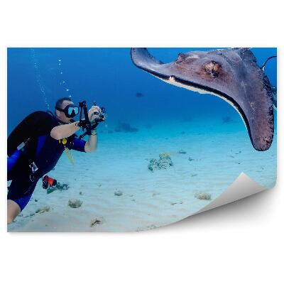 Fototapeta Potápěč pod vodou fotografie písek