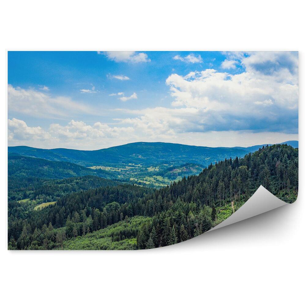 Samolepící fototapeta Horské lesy zeleň rostliny v Krkonoších