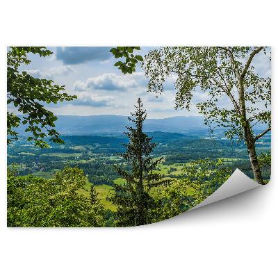 Fototapeta na zeď Pohled z lesa na horské polnosti vesnice