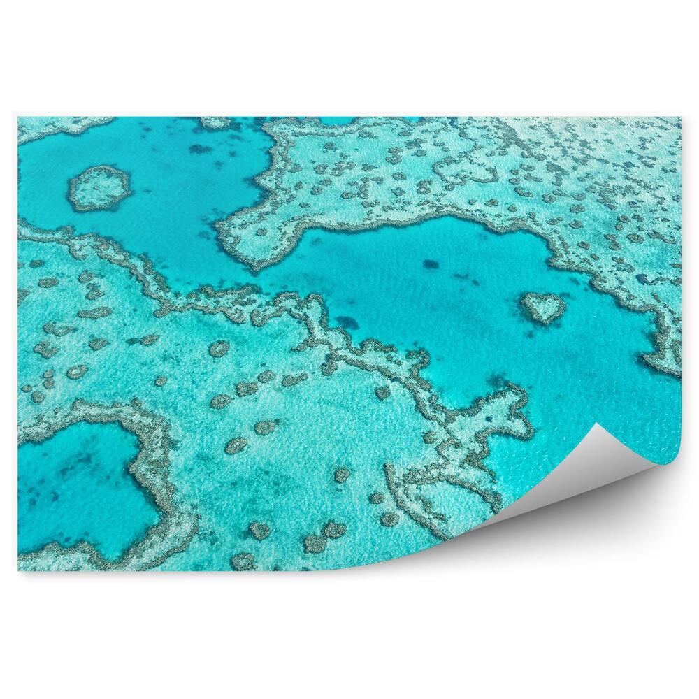 Samolepící fototapeta Letecký pohled na modrý korálový útes