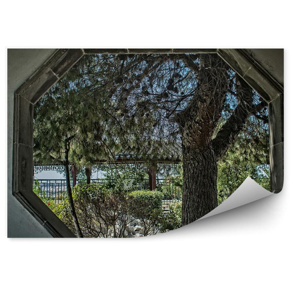 Fototapeta Šedá betonová zeď okno s výhledem na park