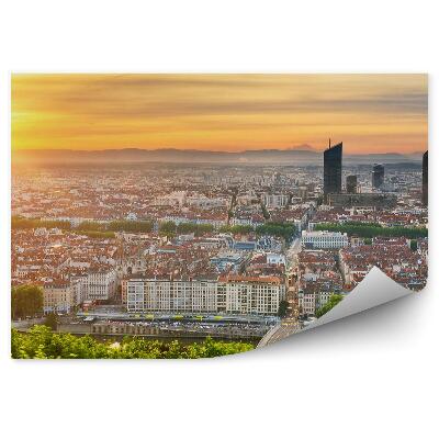 Fototapeta na zeď Pohled z ptačí perspektivy na město mrakodrapy stromy rostliny západ slunce řeka