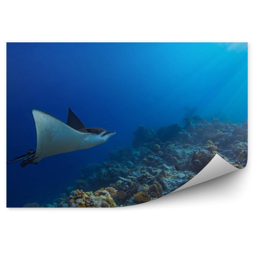 Samolepící fototapeta Voda v oceánu mraky oblohy