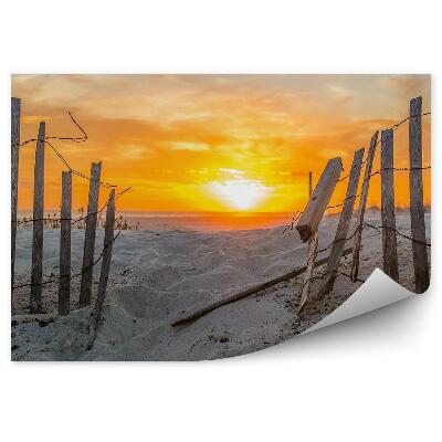 Fototapeta Tyrkysová laguna palmy nebe mraky keře