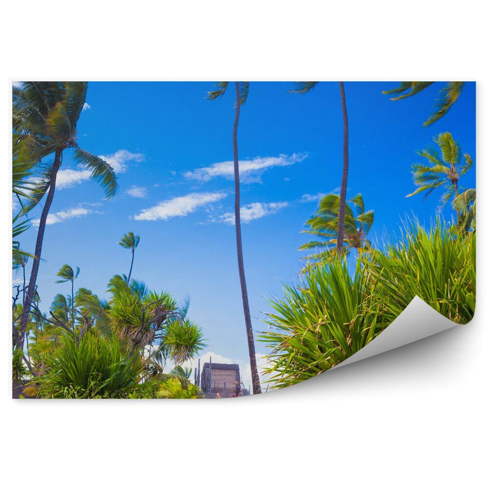 Samolepící tapeta Západ slunce pár oceán pláž palmy nebe mraky Havaj
