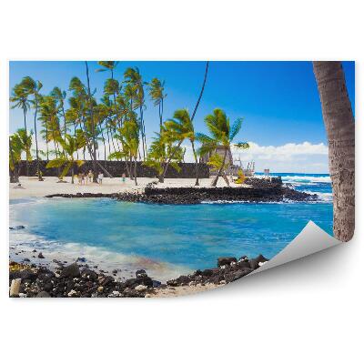 Tapeta Palmy rostliny oceán pláž skály obloha mraky Havaj