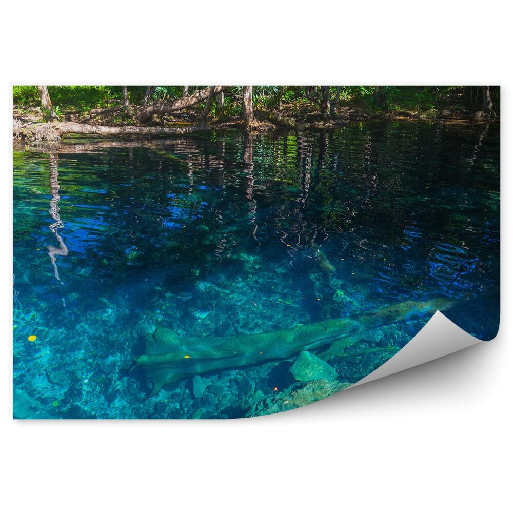 Samolepící fototapeta Modré jezero v divokém tropickém lese