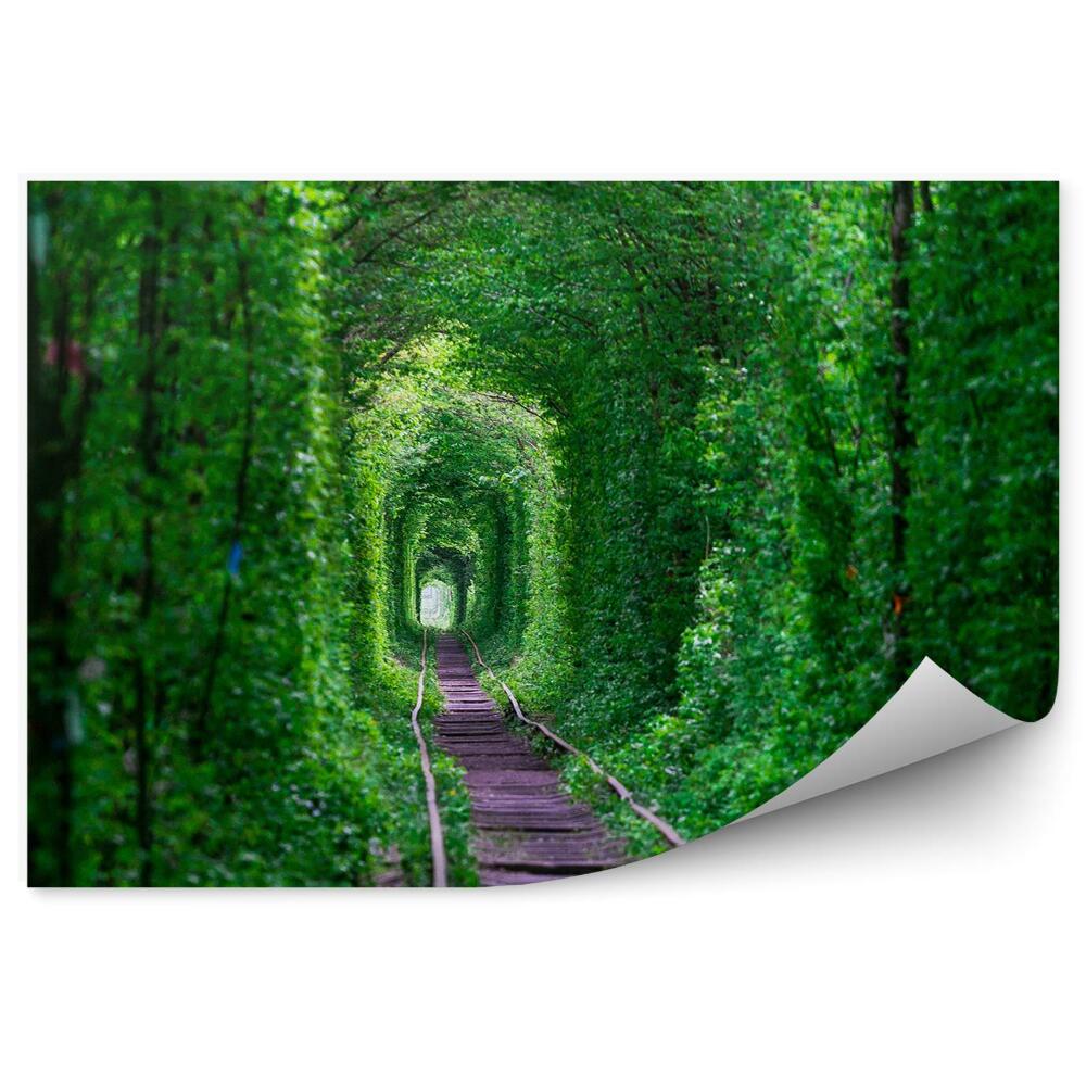 Fototapeta Přírodní tunel stromy keře koleje železnice