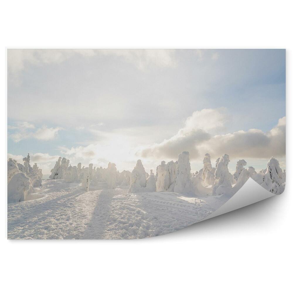 Fototapeta na zeď Zimní sněhové kopule bílá krajina