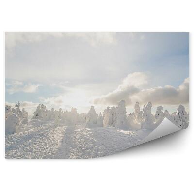 Fototapeta na zeď Zimní sněhové kopule bílá krajina