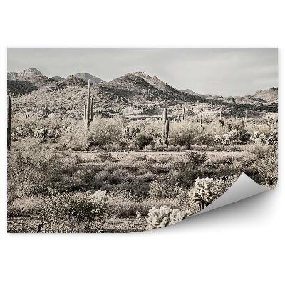 Samolepící fototapeta Para duny poušť východ slunce