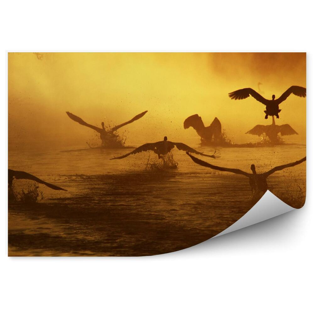 Samolepící fototapeta Labutě v letu nad řekou