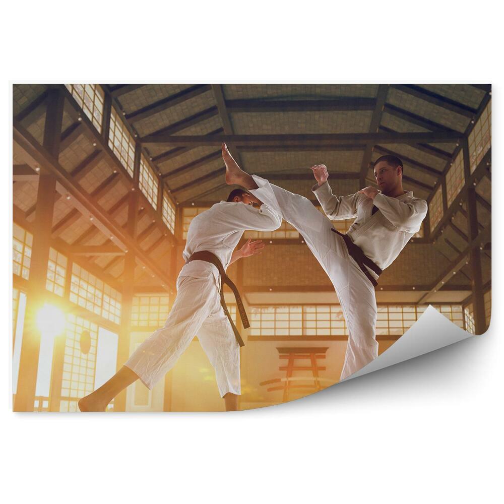 Samolepící fototapeta Trénink karate Japonsko
