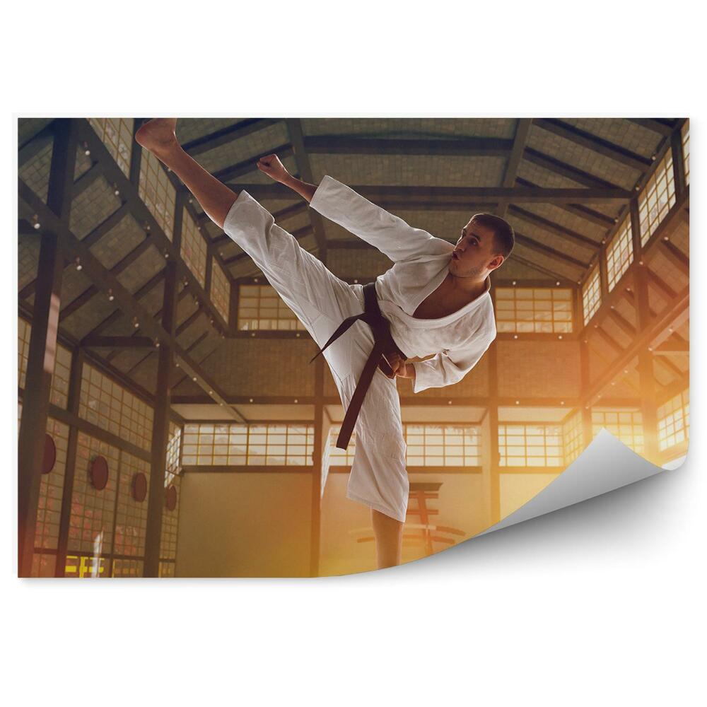 Fototapeta na zeď Trénink karate Japonsko